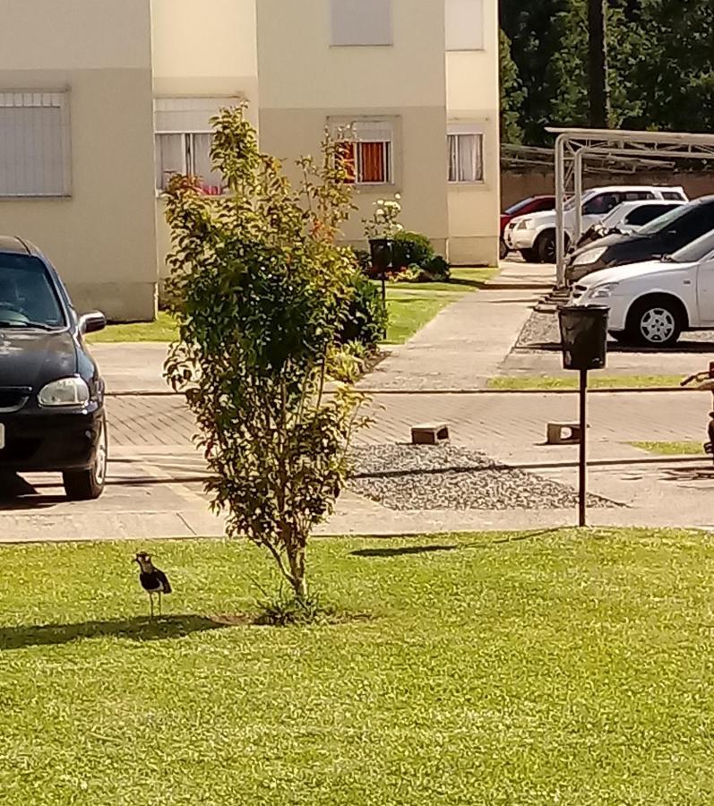 Apartamento Canela Bela Buitenkant foto